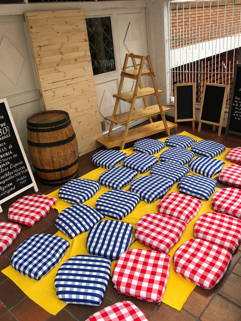 Cojines a Cuadros
Medidas 50x50cm
$5.000 Alquiler