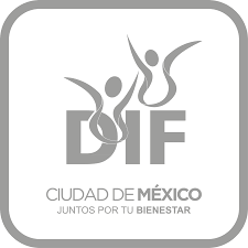 Sistema Nacional para el Desarrollo Integral de la Familia de la Ciudad de México