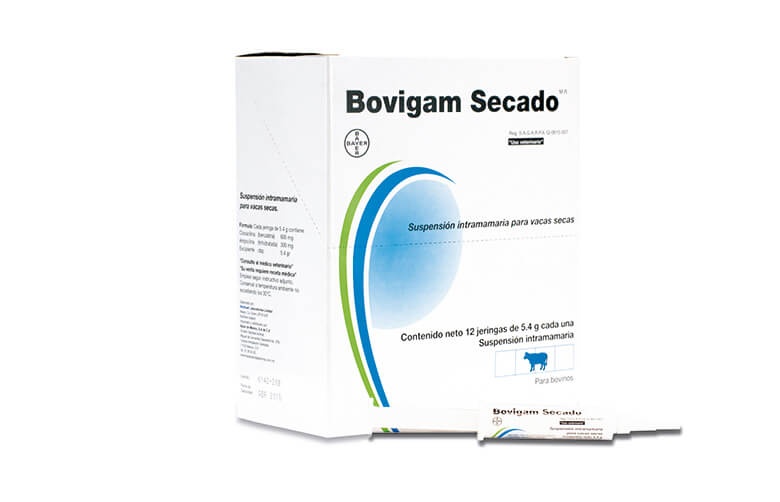 https://0201.nccdn.net/1_2/000/000/0a3/f44/Bovigam-Secado-780x502.jpg