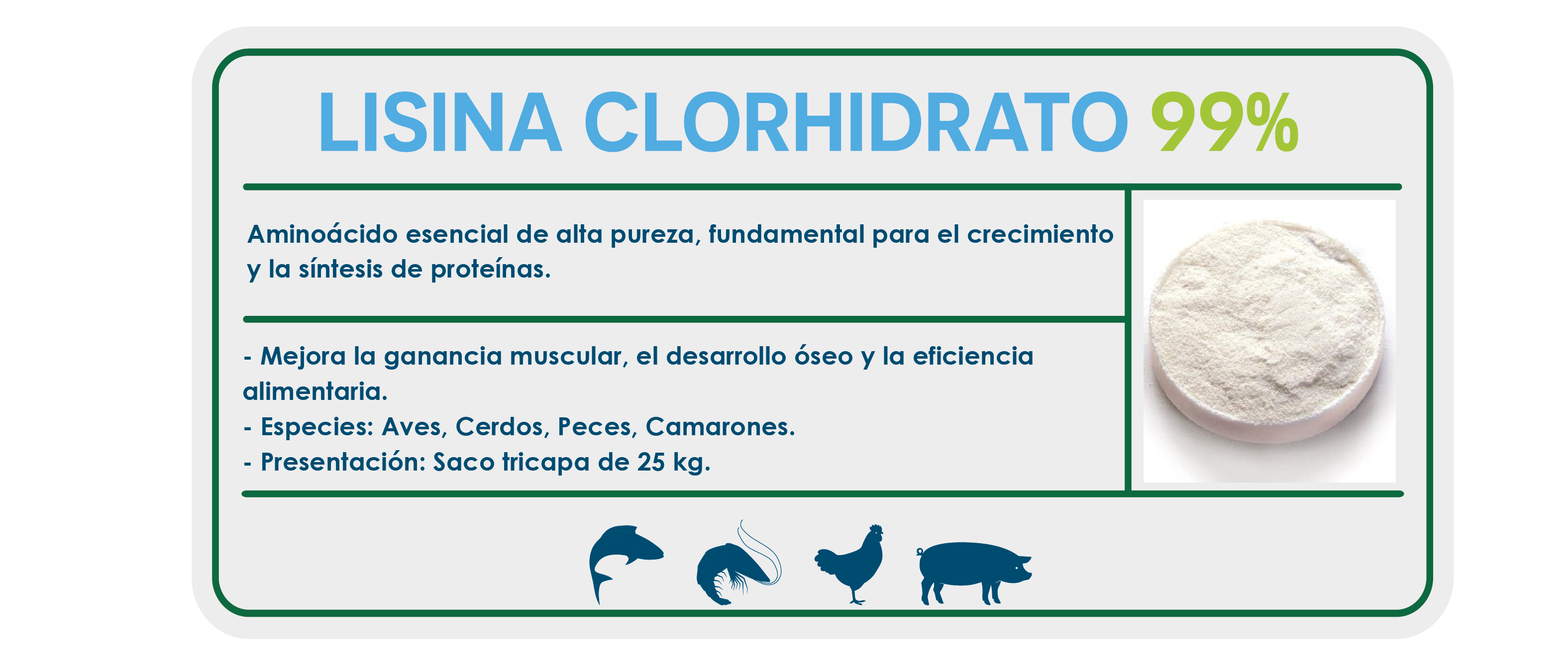 https://0201.nccdn.net/1_2/000/000/0a4/091/ficha_ecommerce-13.png