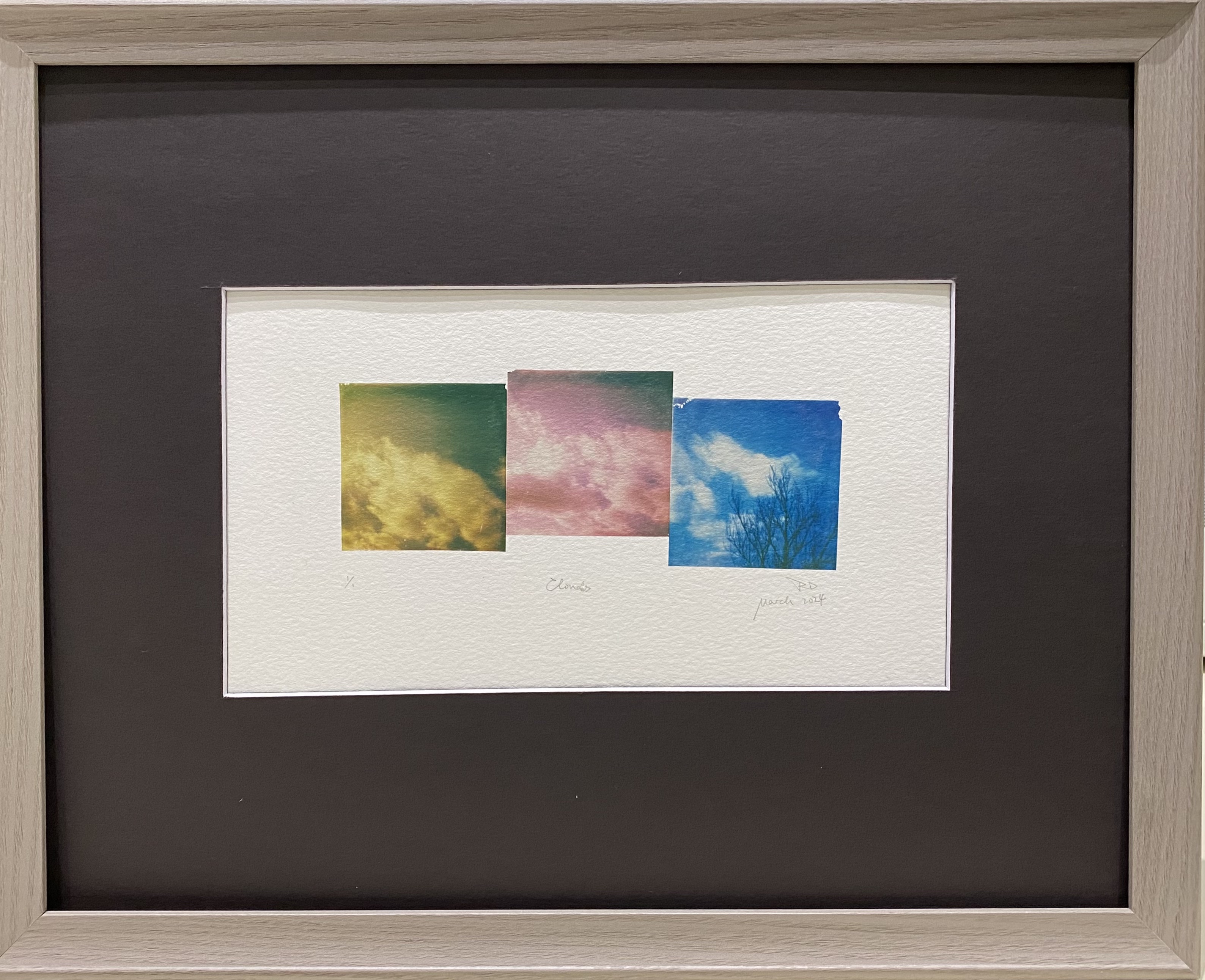 Clouds
Polaroid Emulsion Lifts
9" X 5" (Image)
$60.