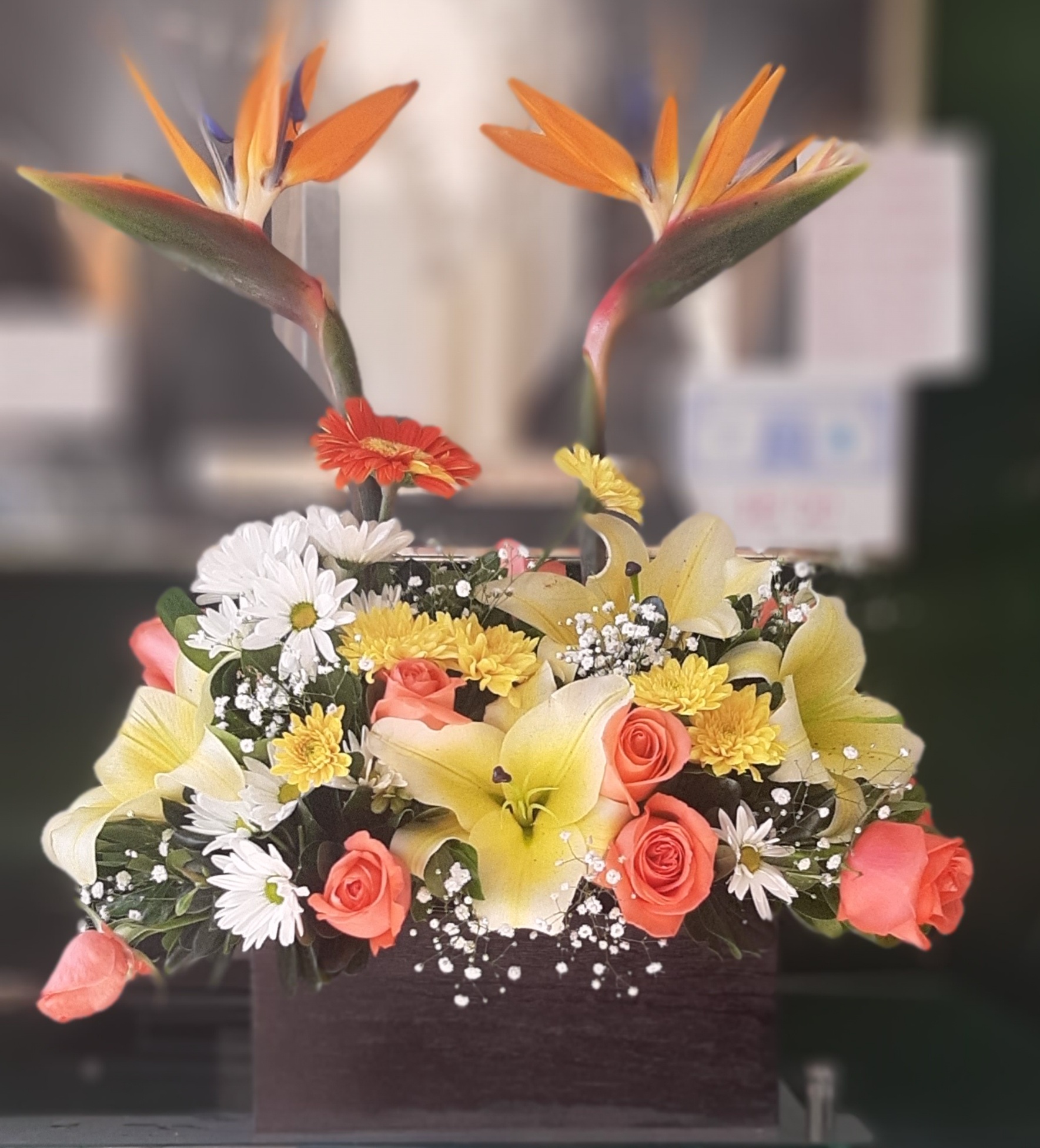 A48 con rosas, concador, gerbera y ave de paraiso. $ 950