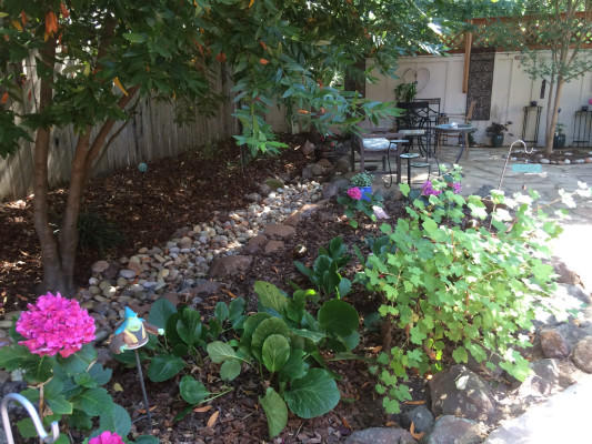 Dry creekbed backyard with sitting areas and abundant flowers.