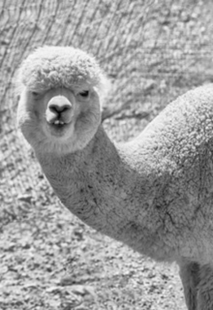 Can I Buy You A Drink?