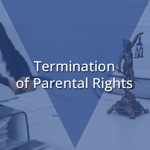 https://0201.nccdn.net/1_2/000/000/0a5/000/termination-of-parental-rights_h.jpg