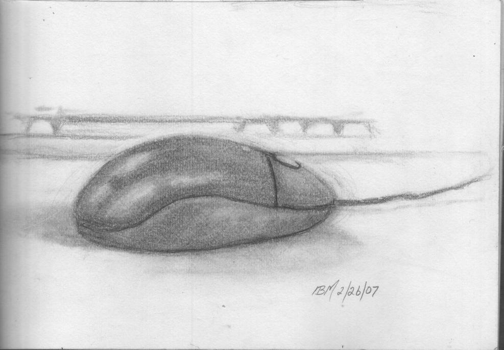 mouse-2-26-07