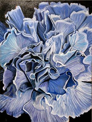 Painting of a carnation