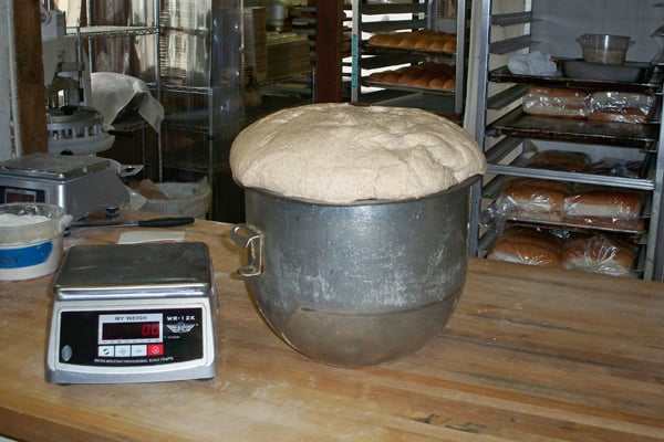 Rising Bread Dough