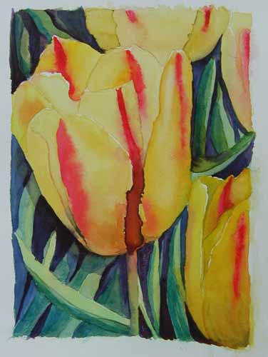 Yellow Tulips ... Watercolour
