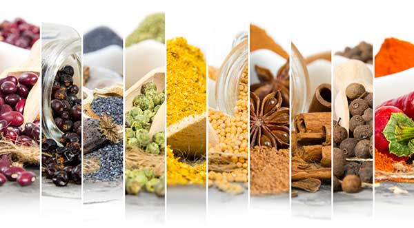 Culcam S.A. de C.V. - comercialización de semillas Culcam S.A. de C.V. - comercialización de semillas