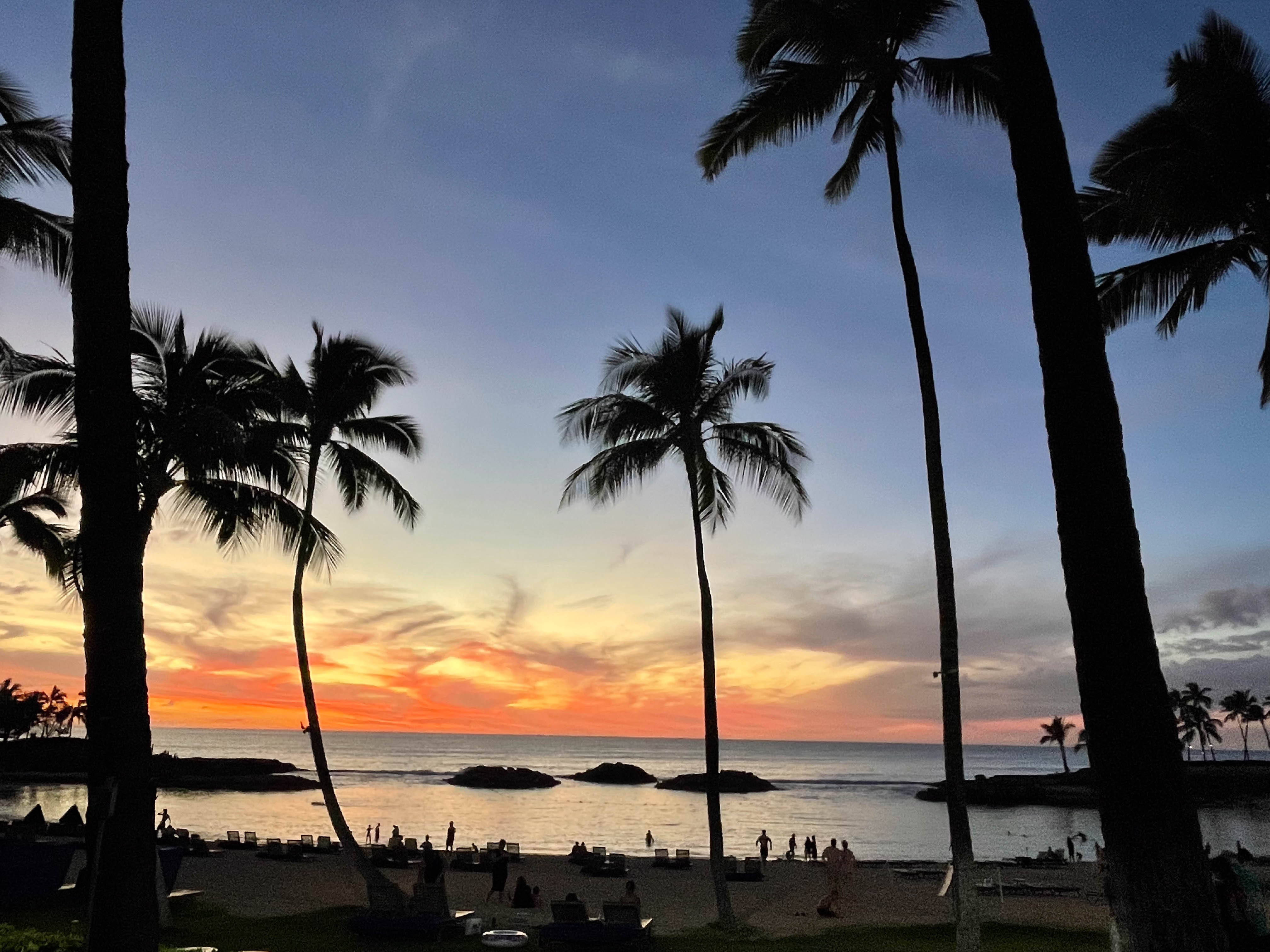 https://0201.nccdn.net/1_2/000/000/0a5/d23/hawaii-order-124.jpg