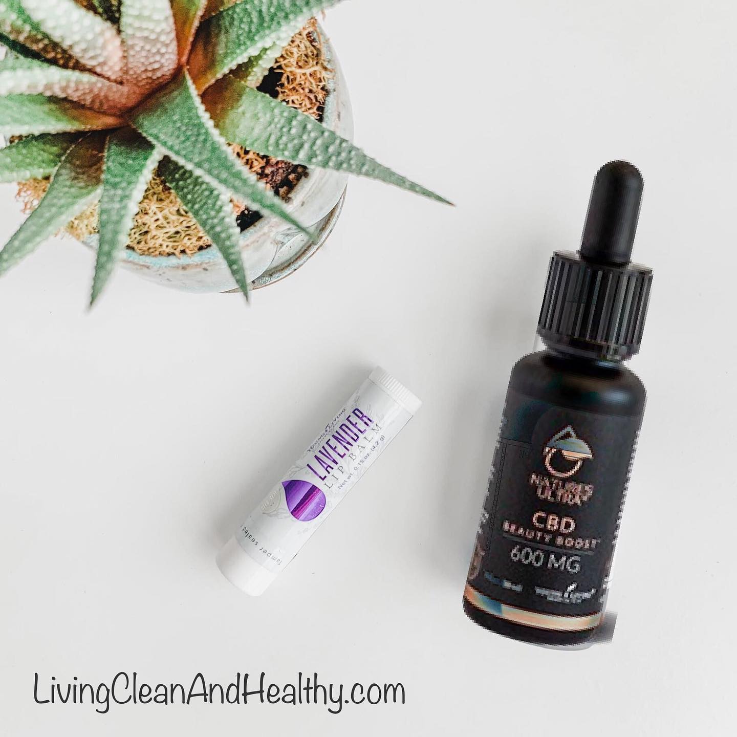 Lip Balm & CBD Beauty Boost with Rose Oil