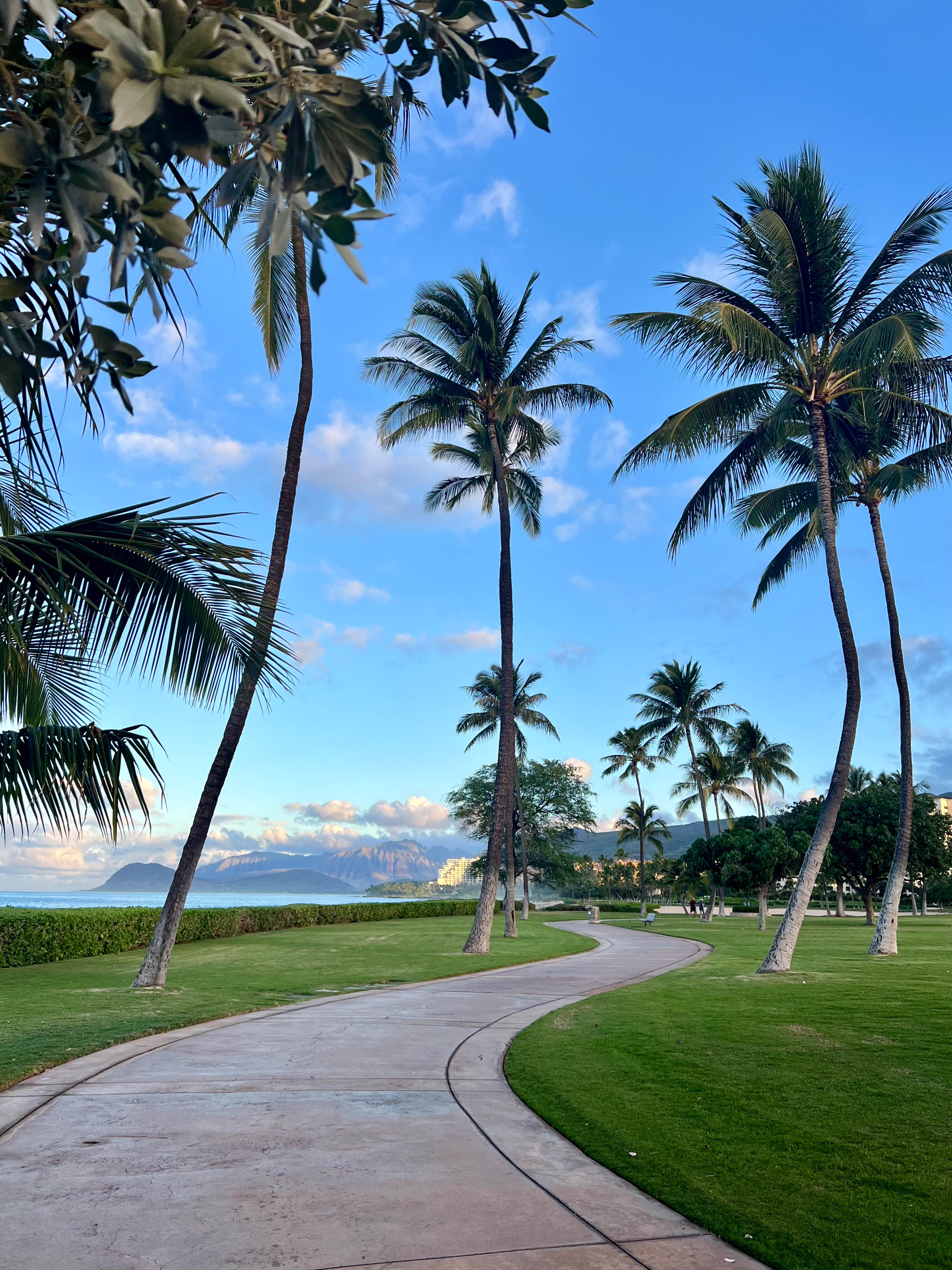 https://0201.nccdn.net/1_2/000/000/0a6/25d/hawaii-order-42.jpg