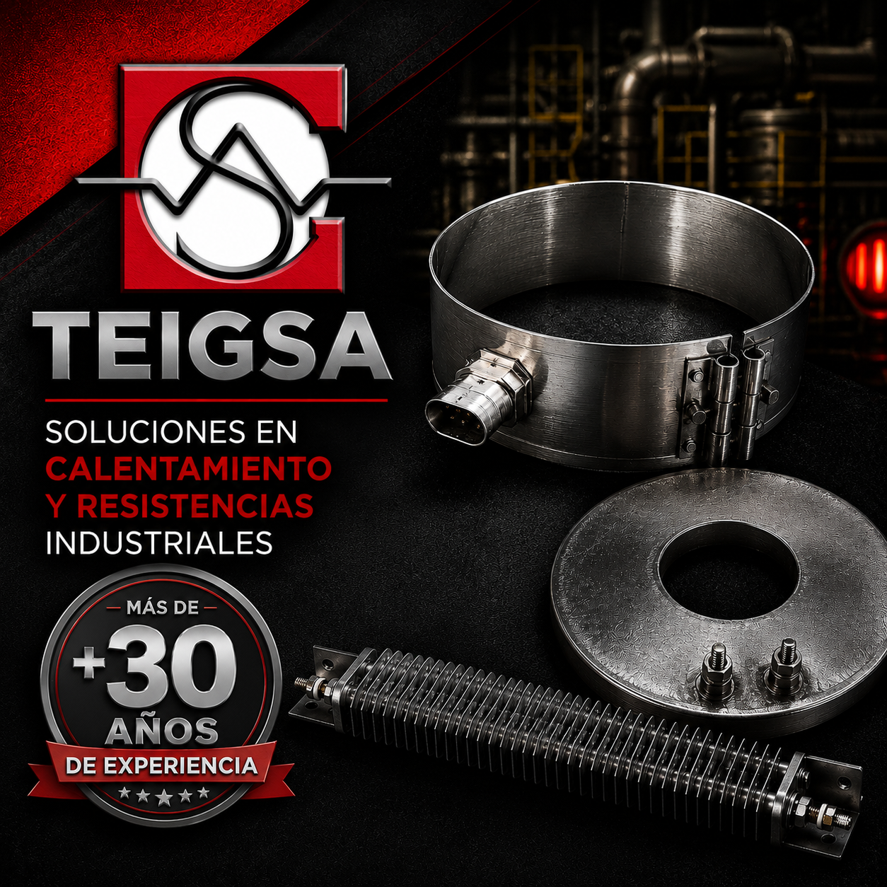 Logotipo de fondo blanco con detalles en rojo y negro, texto 'TEIGSA' en la parte inferior derecha.