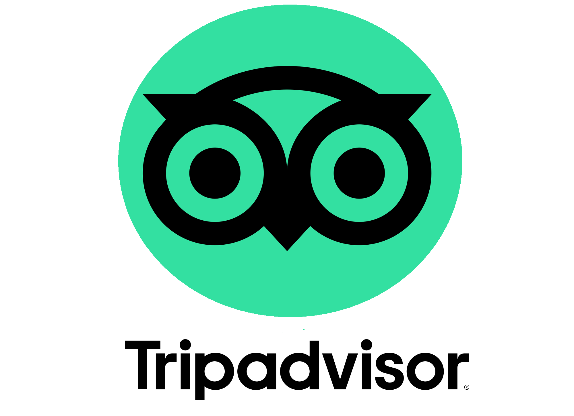 Sample logo image