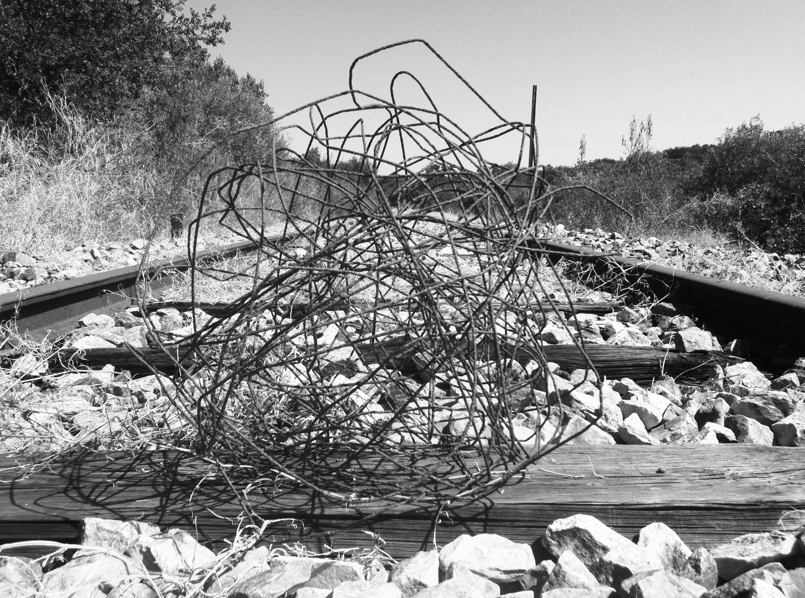 A ball of wire placed between old, receding railroad tracks in a dry rural setting.