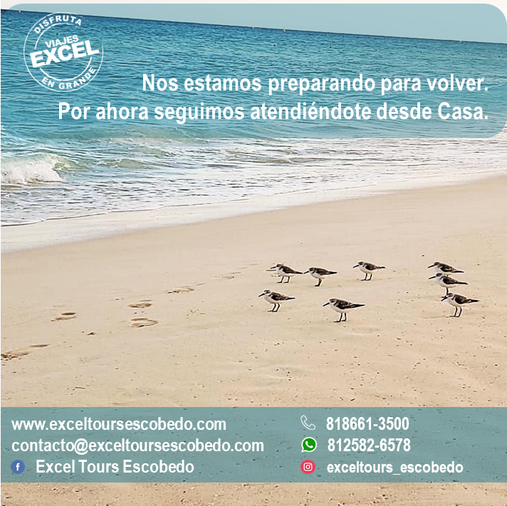 Preparándonos para Volver