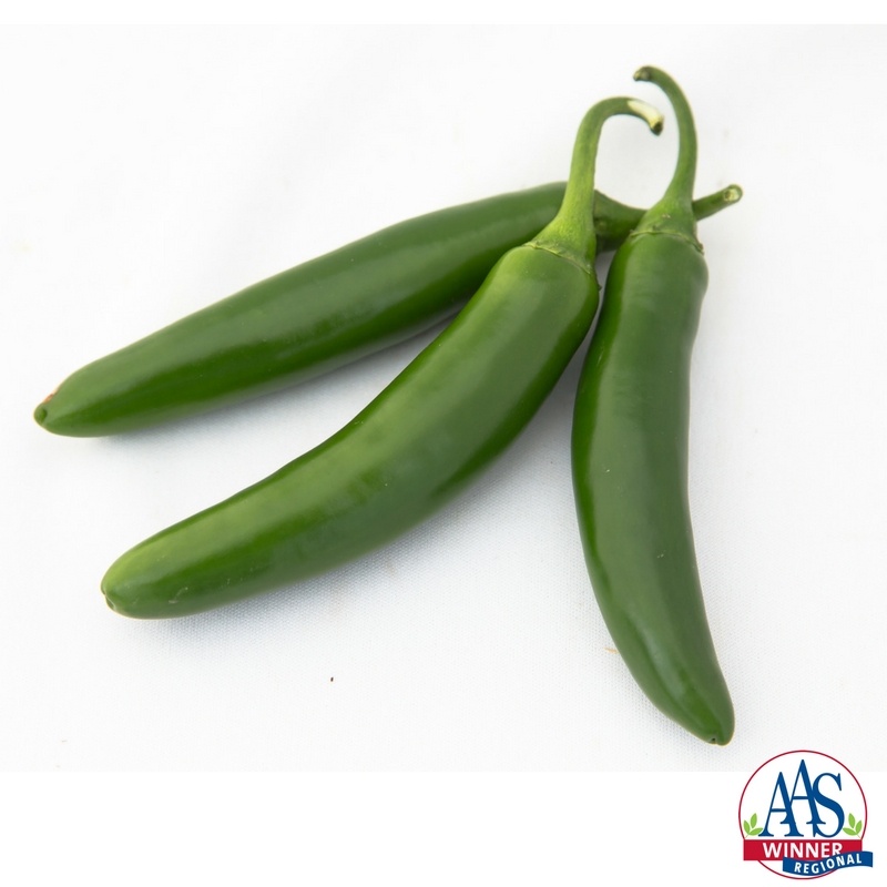 Pepper Flaming Jade X3R® F1 Pepper Flaming Jade X3R® F1