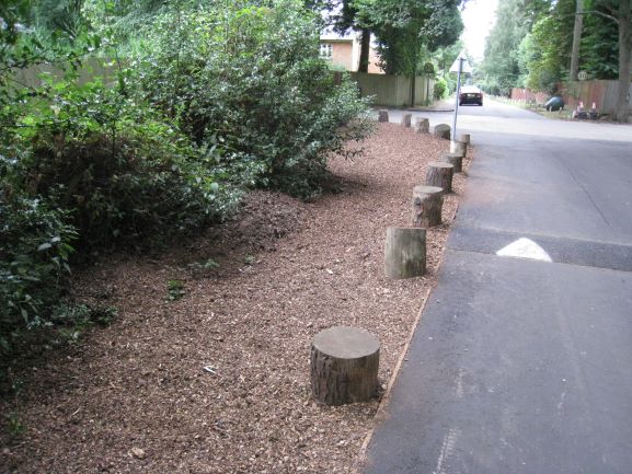 Tree Works - Bedfordshire 