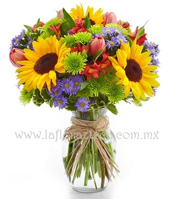 San Valentin 012
$ 890.00 pesos