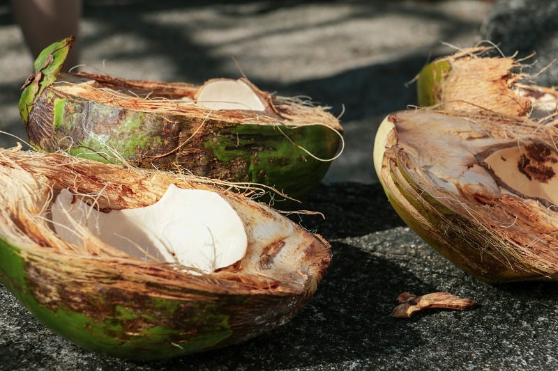 Split Coconuts