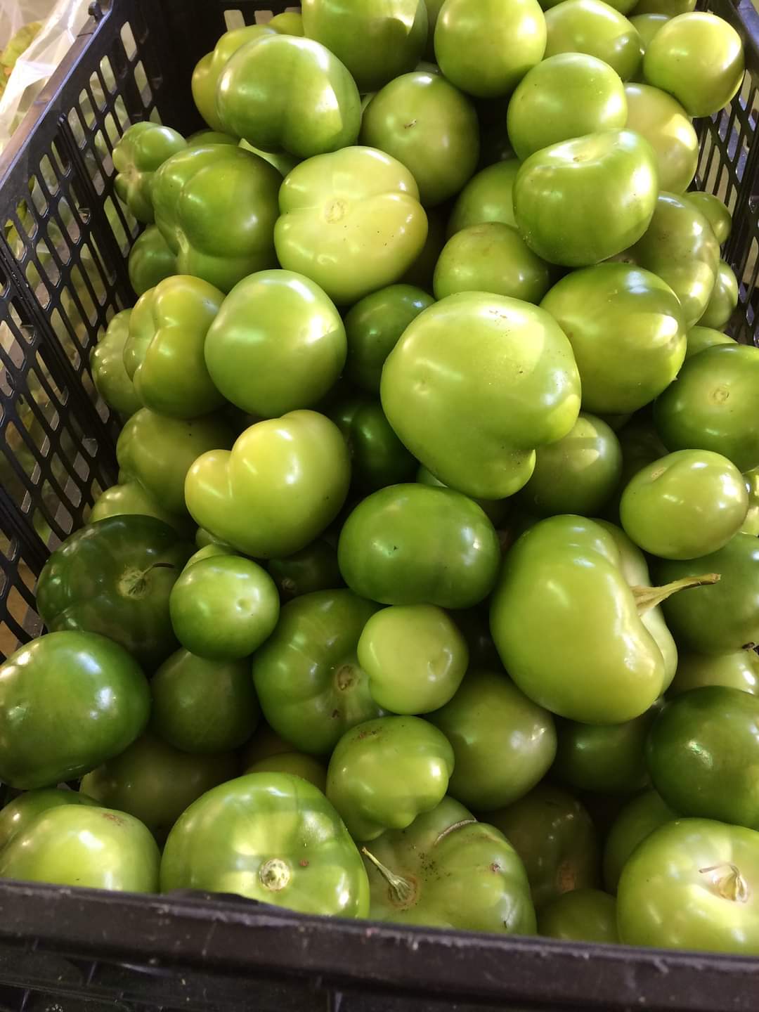 https://0201.nccdn.net/1_2/000/000/0a8/022/tomatillo.jpg