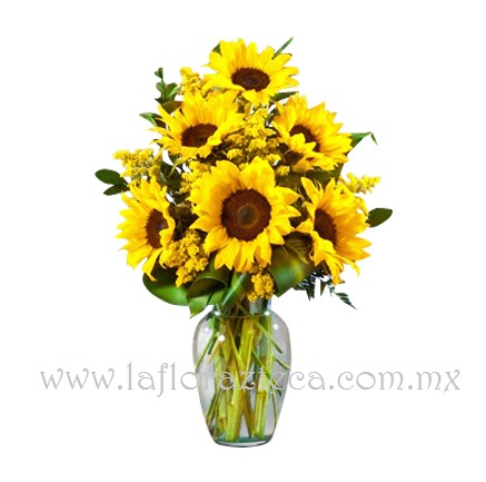 MD - 101  $ 830
6 Girasoles en Florero de Vidrio