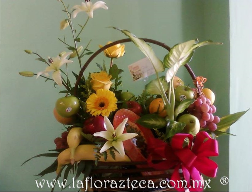 LFA-704
Precio $1,370