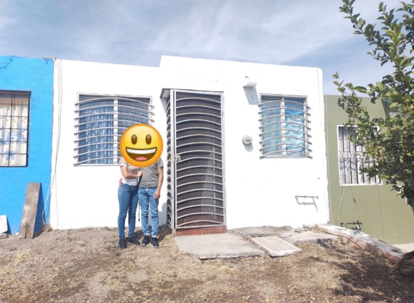 Sala de estar moderna con sofá gris, mesa baja de madera, plantas decorativas y obra de arte abstracta en la pared.