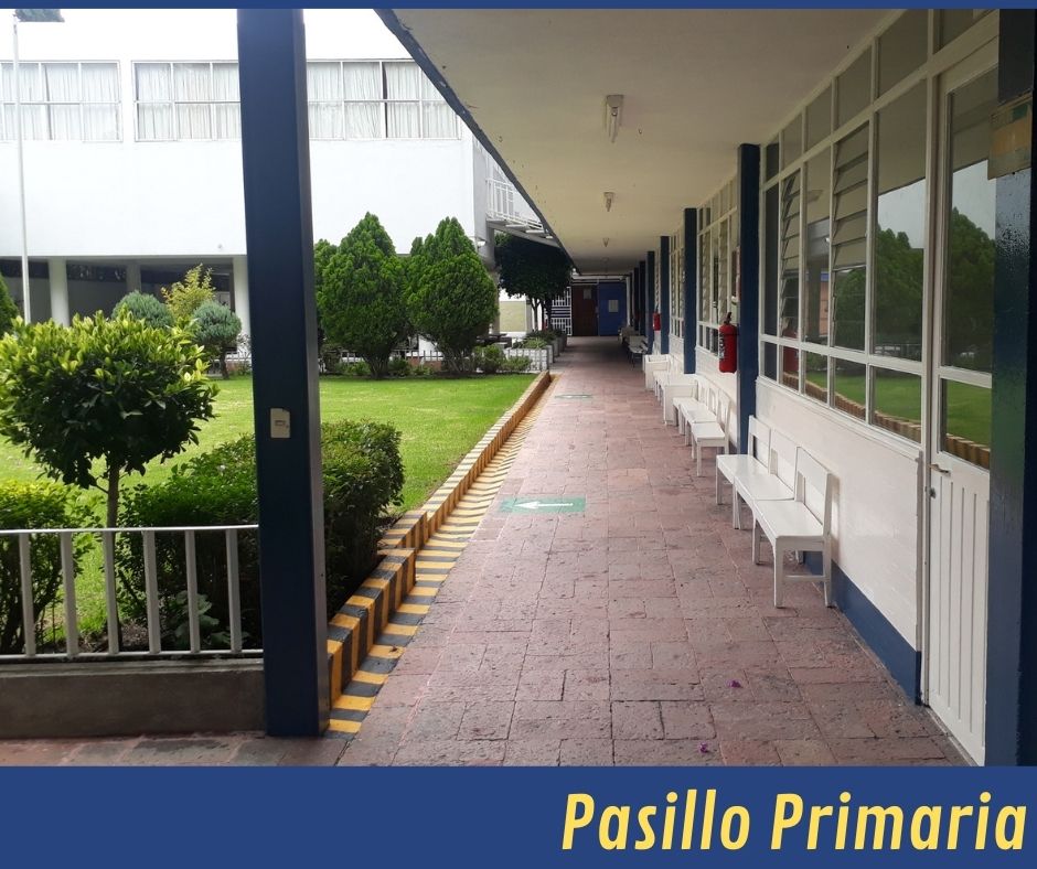 https://0201.nccdn.net/1_2/000/000/0a8/647/pasillo-primaria.jpg