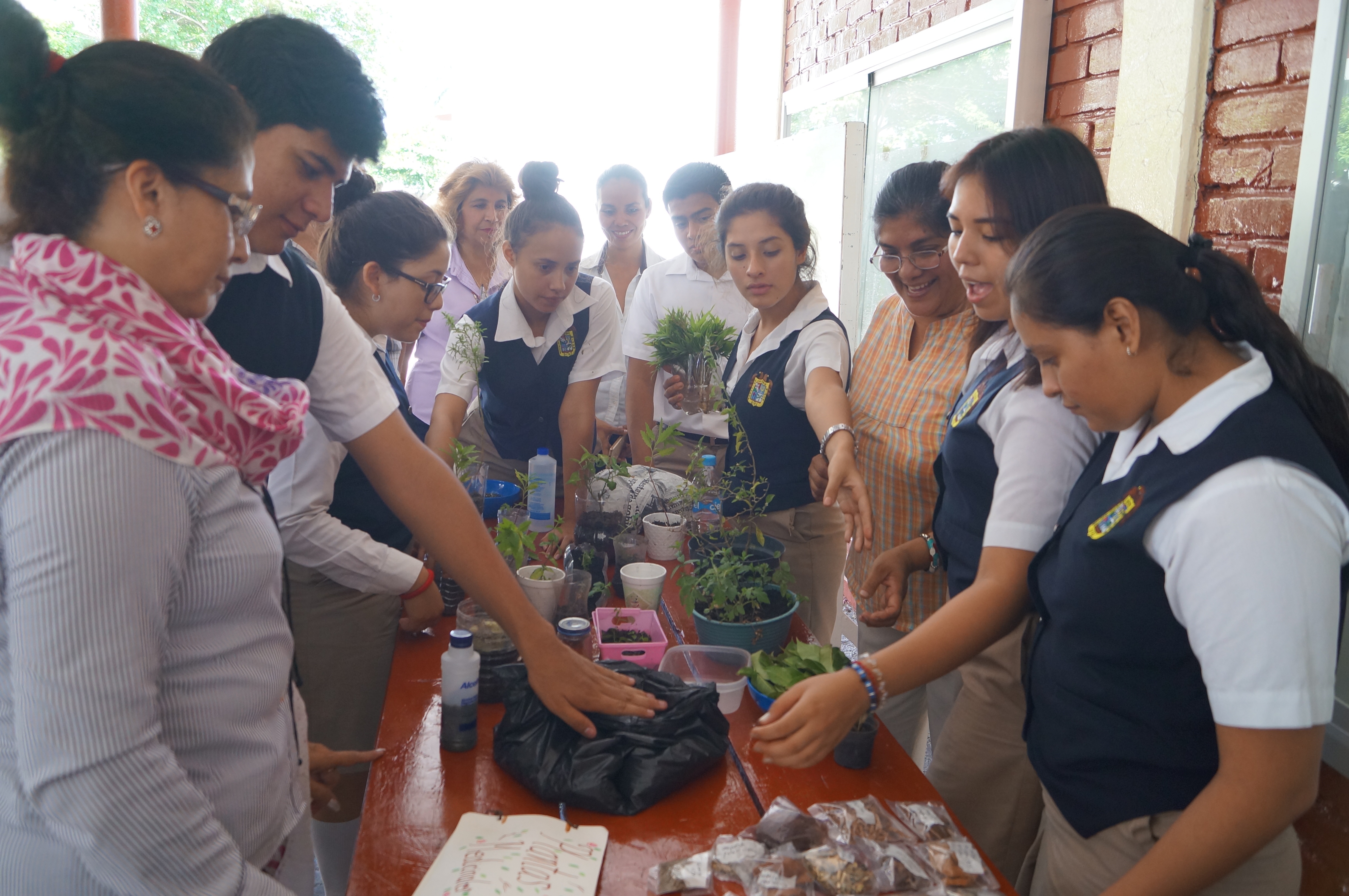 DESARROLLO SUSTENTABLE
21 DE JUNIO 2017