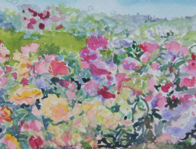 Taylor, Roses Study, 6x8 Watercolor