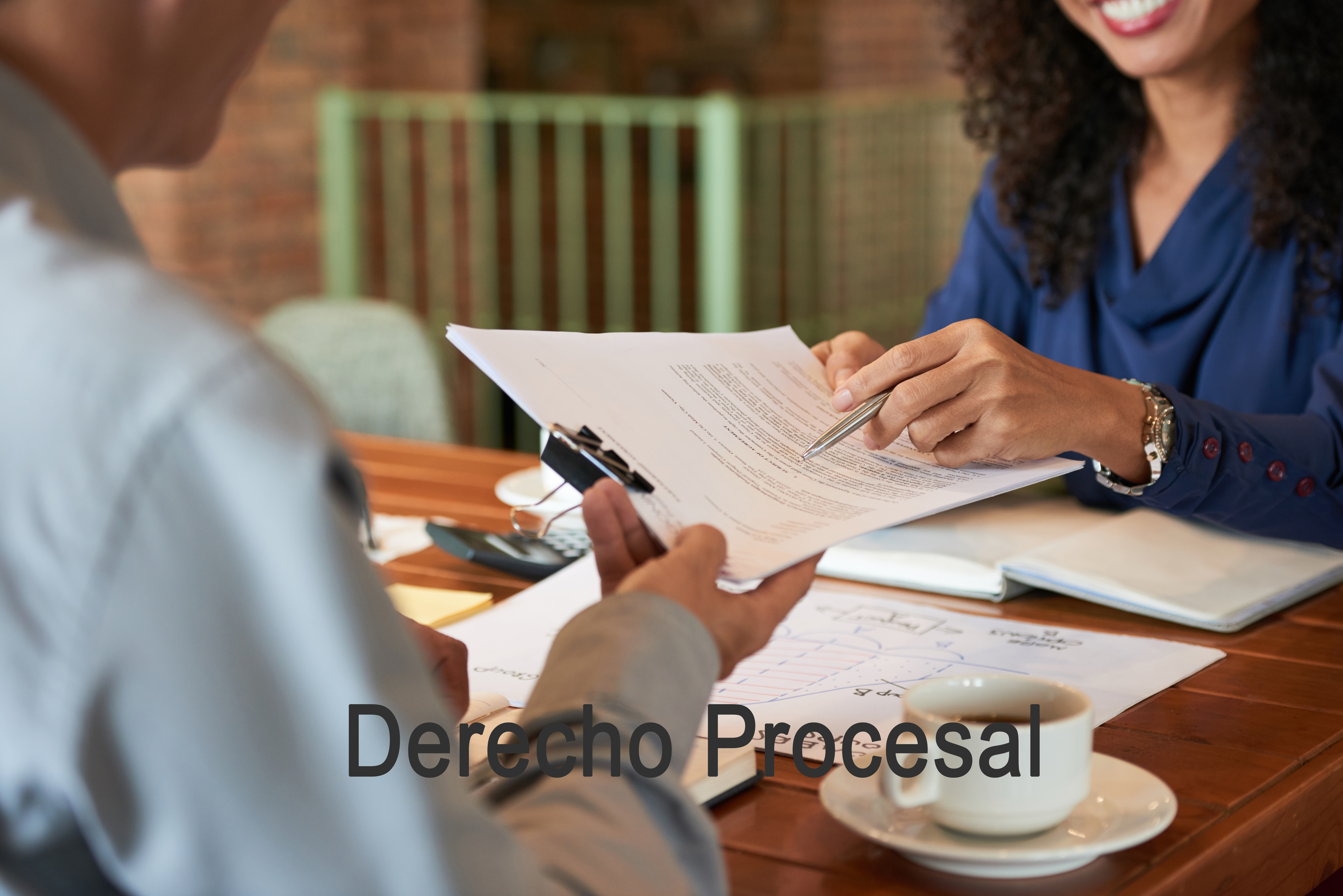 https://0201.nccdn.net/1_2/000/000/0a8/945/derecho-procesal.jpg