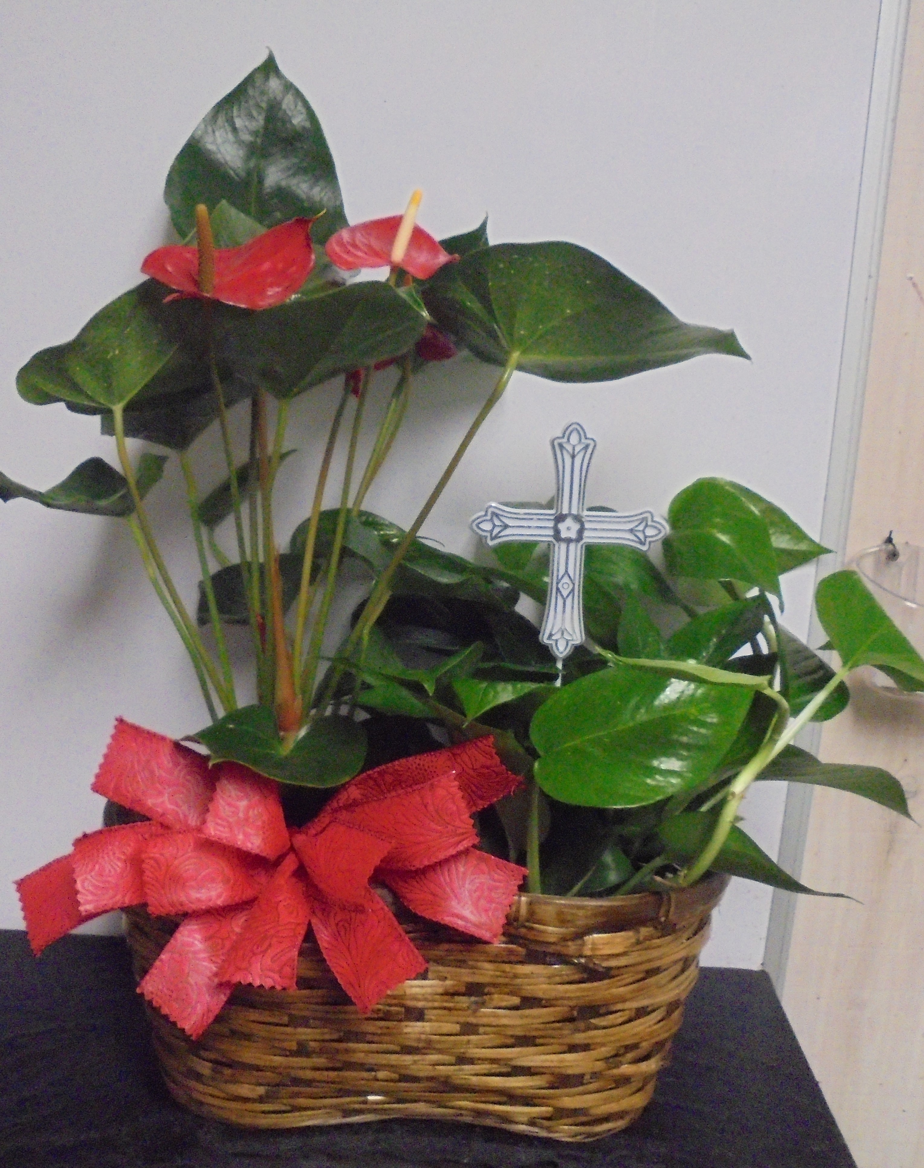 (20) "Double" Plant Combo
( Anthurium & Pothos)
$75.00