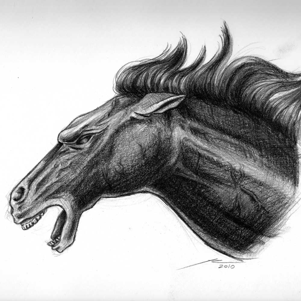 Cabeza de caballo