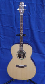 Tenor Guitar Tenor Guitar