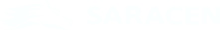 Saracen Digital Asset Fund LP is a digital asset-focused hedge fund seeking to achieve capital appreciation and maximize consistent, risk-adjusted returns irrespective of the prevailing market conditions, through actively managed investments and trading strategies within digital asset markets.
