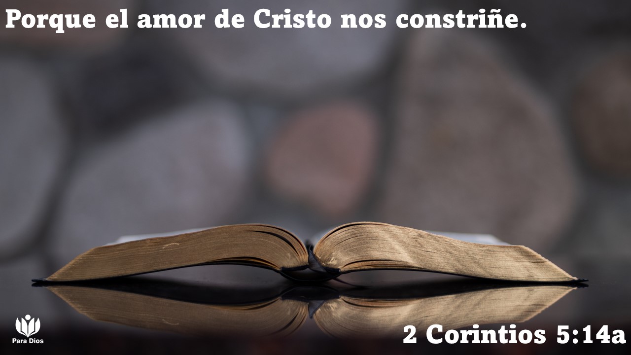 https://0201.nccdn.net/1_2/000/000/0a9/4a3/slide8.jpg