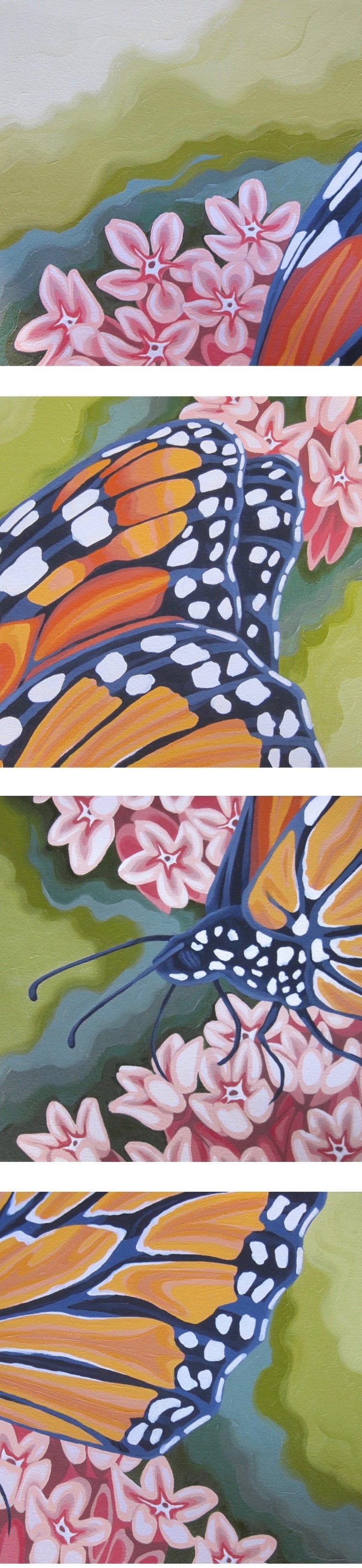 "Monarch and Milkweed"  4 - 12 x 12