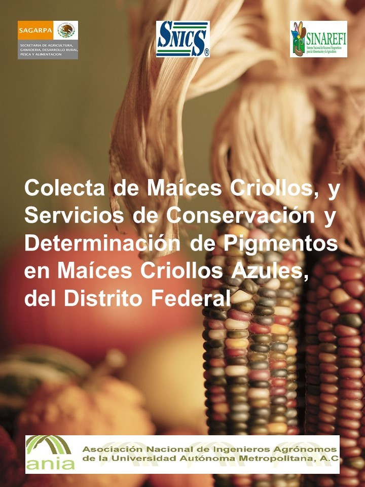 Colecta de Maíces Criollos, y Servicios de Conservación y Determinación de Pigmentos en Maíces Criollos Azules del Distrito Federal 2009