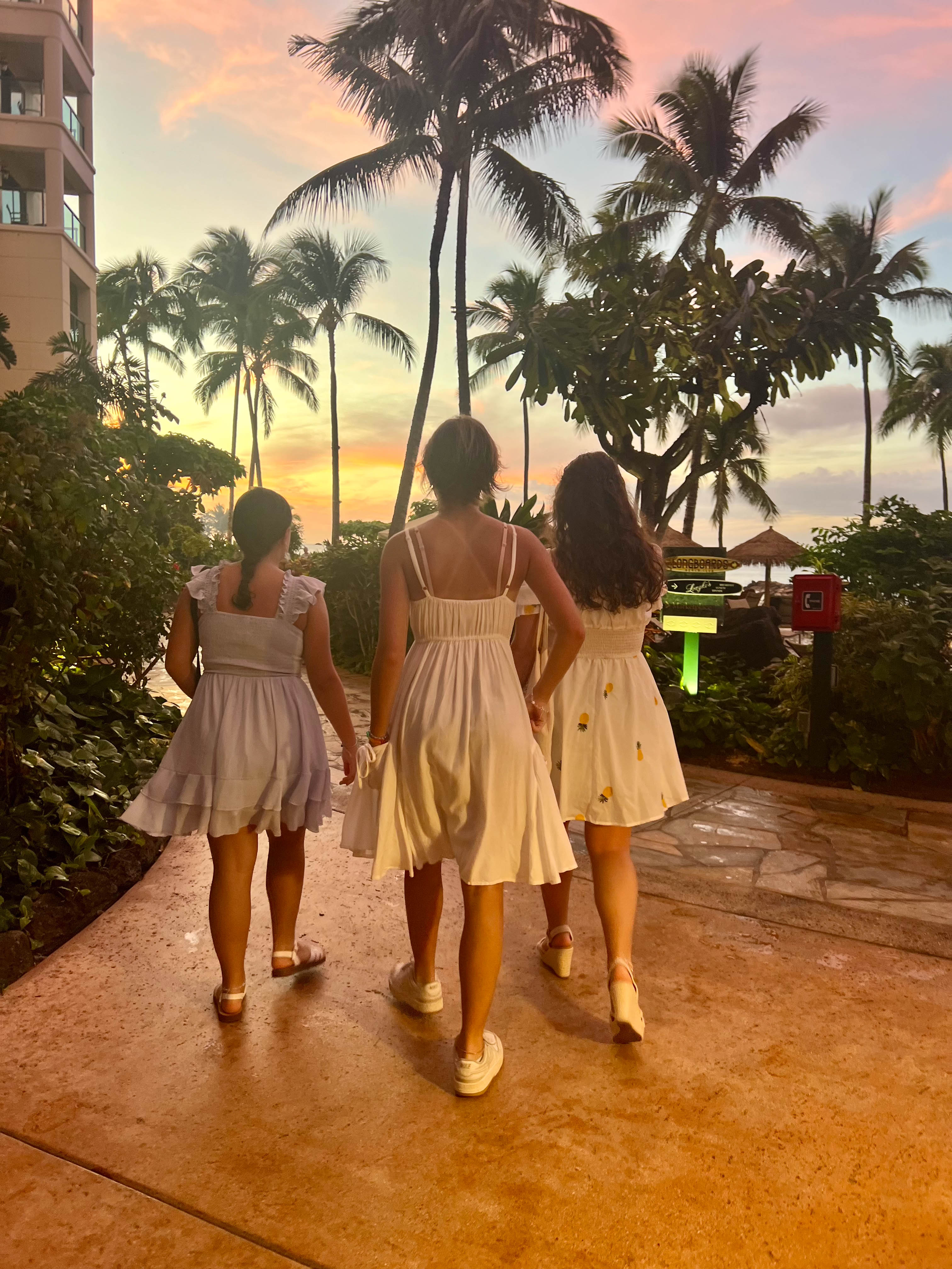 https://0201.nccdn.net/1_2/000/000/0aa/53b/hawaii-order-120.jpg