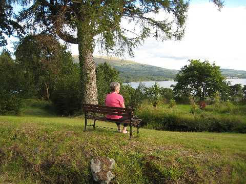 The Old Railway line, Creagan, 08