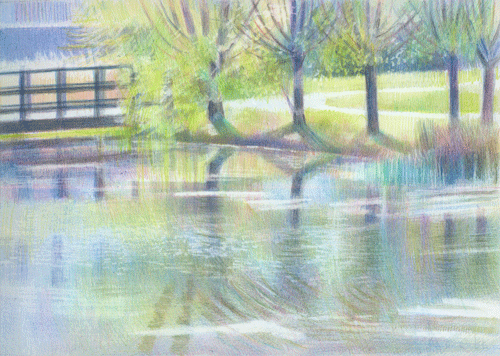 Ecology Park Pond Series #11 - Spring at Willow Pond - 8th April 2009