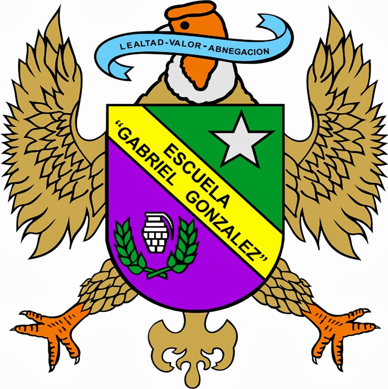 https://0201.nccdn.net/1_2/000/000/0aa/8f8/escudo-esgon.jpg
