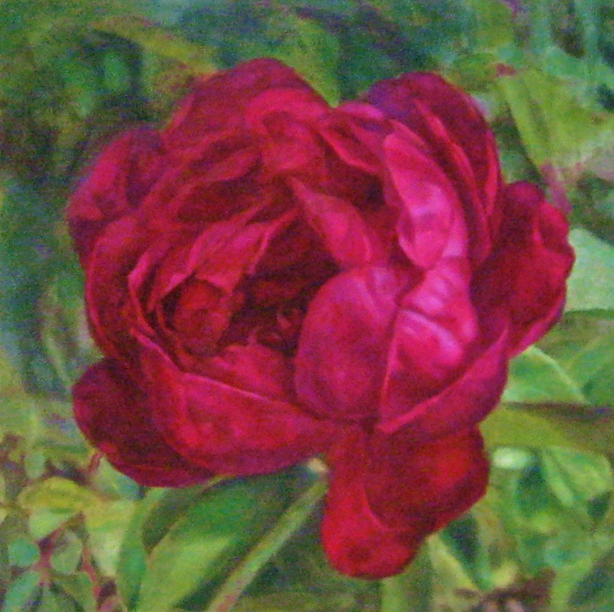 Gomes, Open Heart, 30x30 Oil