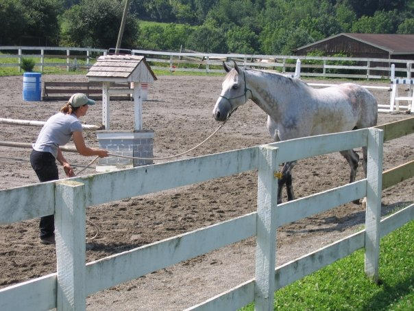 Off-site Clinic, Hosted by Amelia Acres