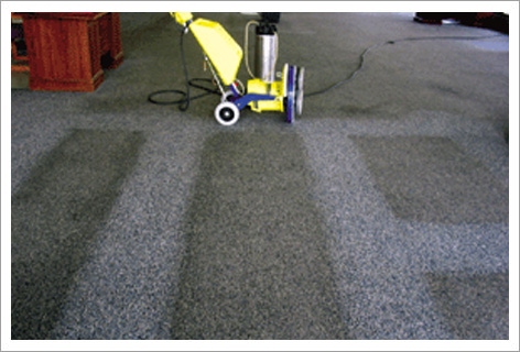 Cimex Clean Pattern Example||||