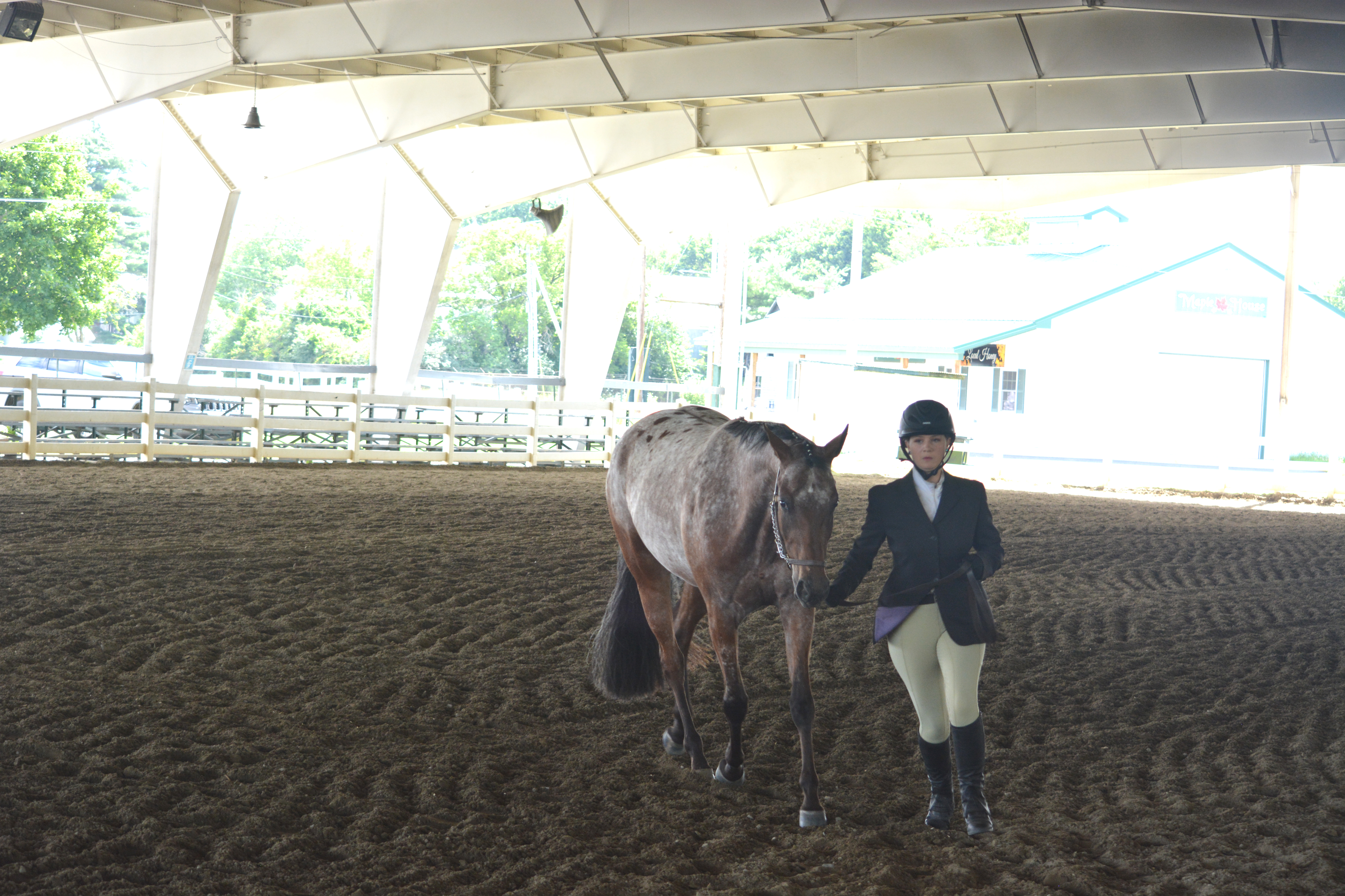 Theresa Kinney and Royally Dreamin' ApHC mare
