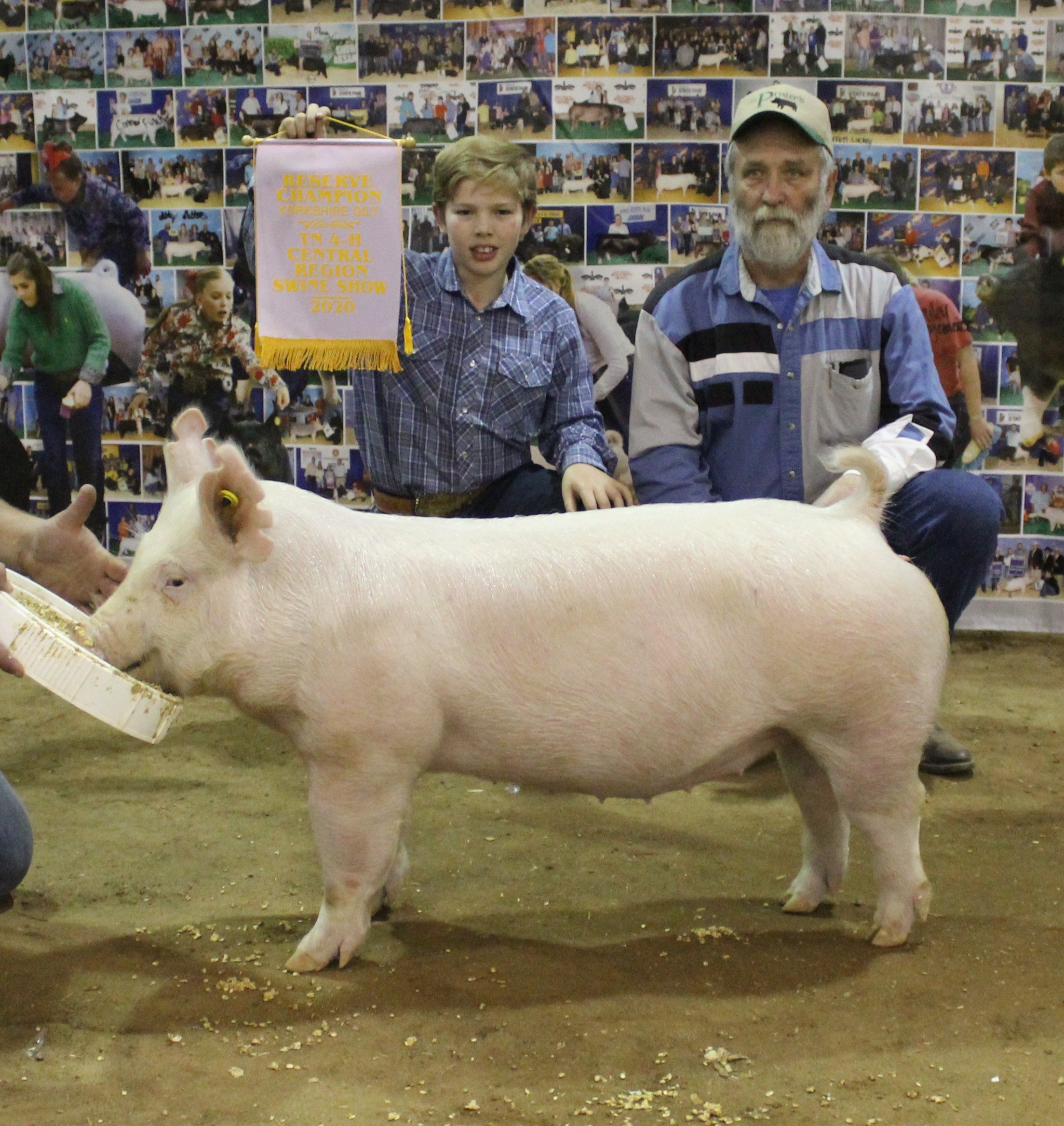 Casper Cossitt
Reserve Champion Yorkshire Gilt
2020 Tennessee Central Region Show