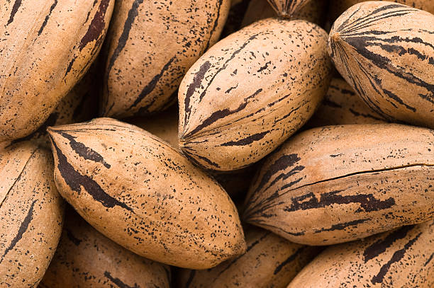 https://0201.nccdn.net/1_2/000/000/0ab/6f5/background-of-pecan-nuts-picture-id95246701.jpg